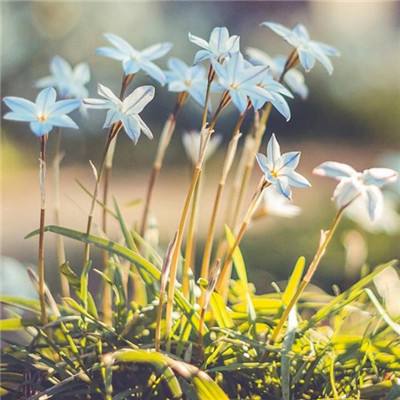 澳门太阳游戏城appapp下载截图