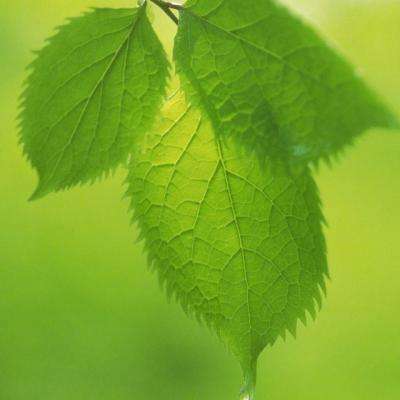 澳门太阳游戏城appapp下载截图